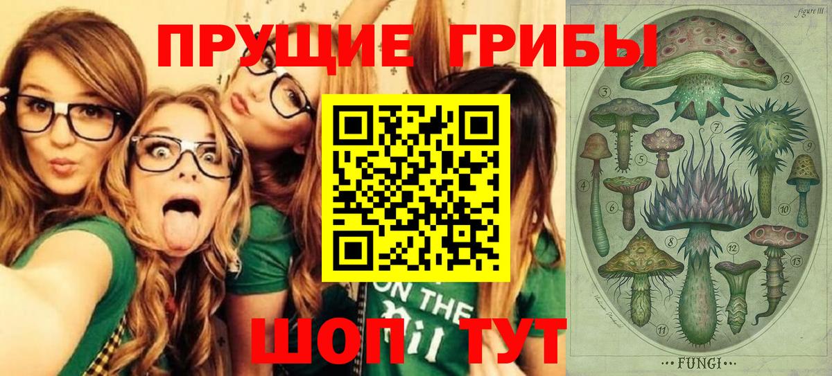 Вышний Волочёк  Псилоцибиновые грибы Psilocybe  Вход с VPN 